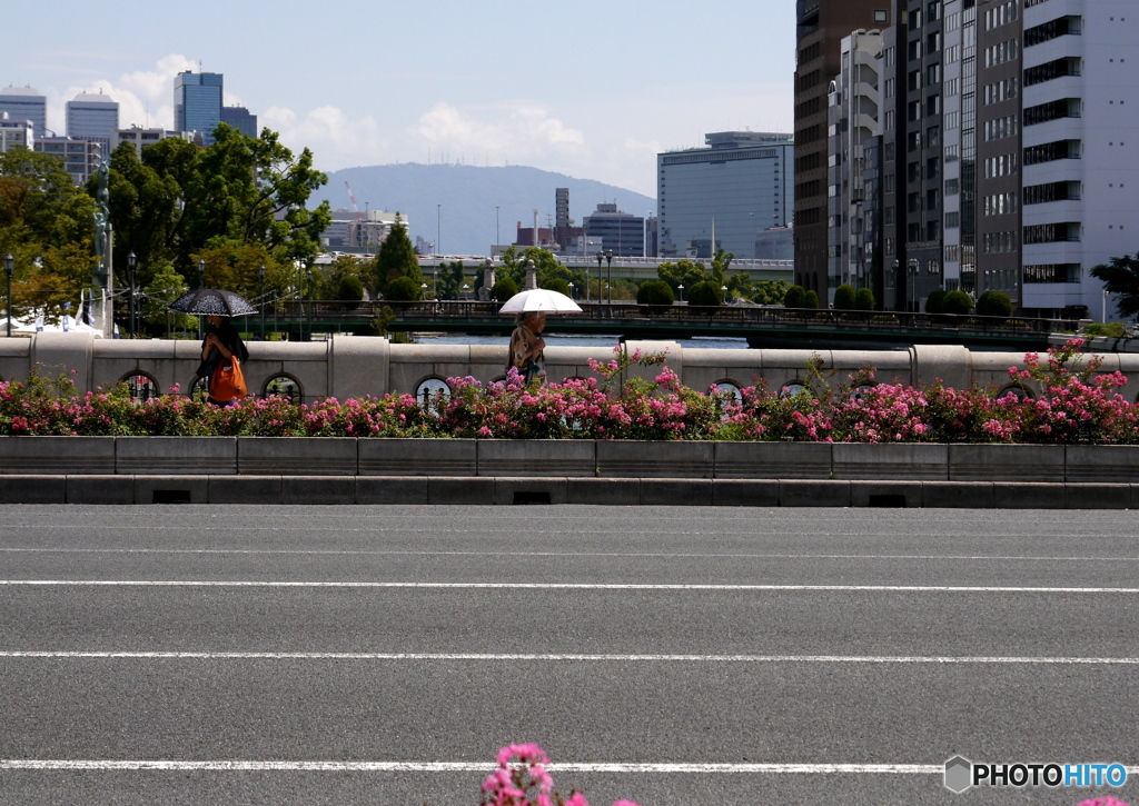 花の咲く淀屋橋
