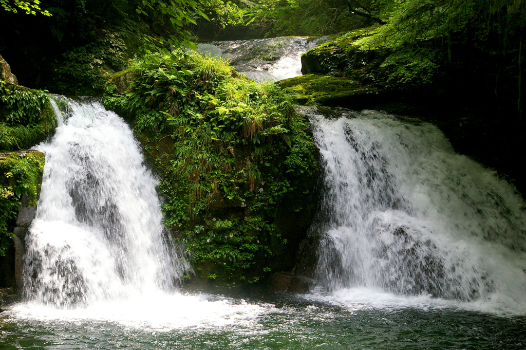 ながれのかたち
