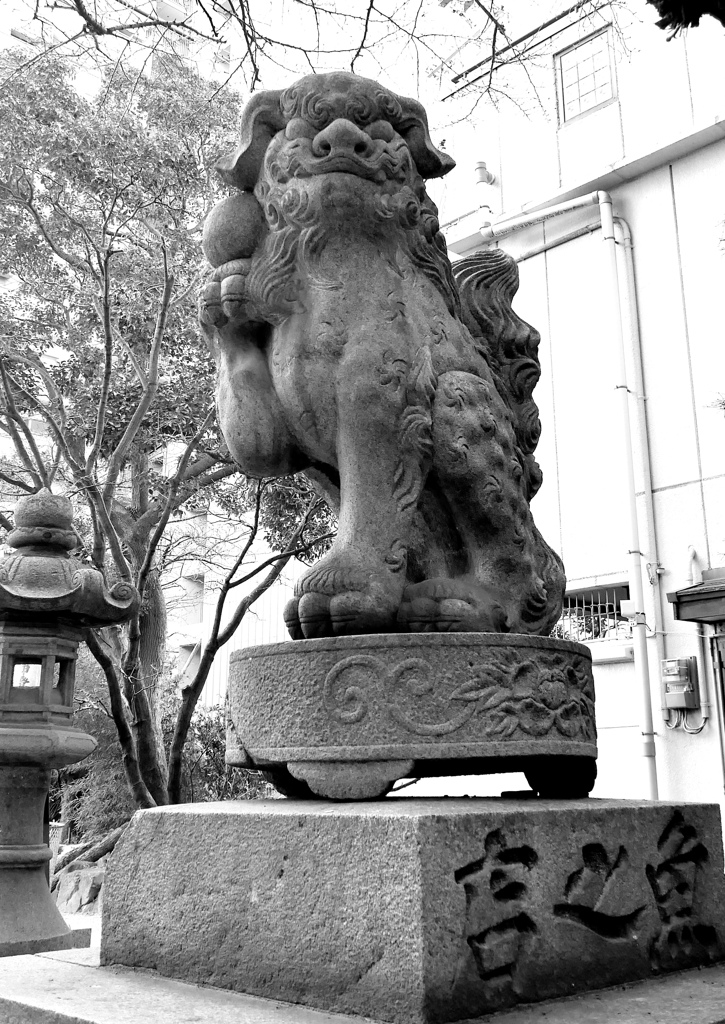 招き獅子