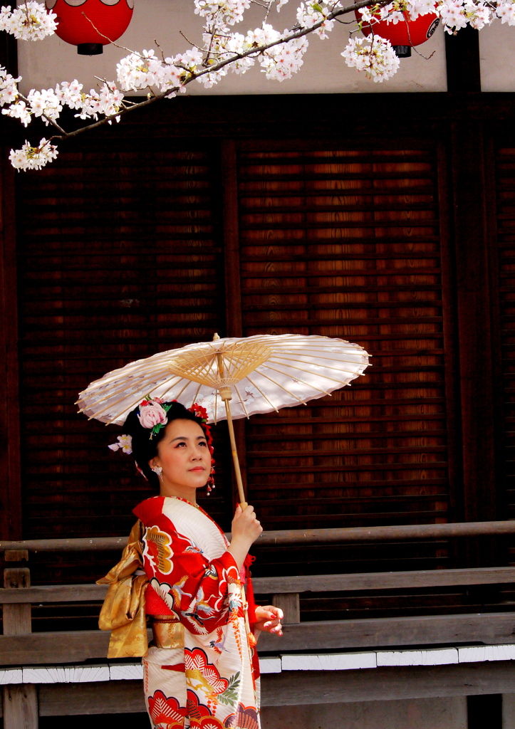 お花見日和