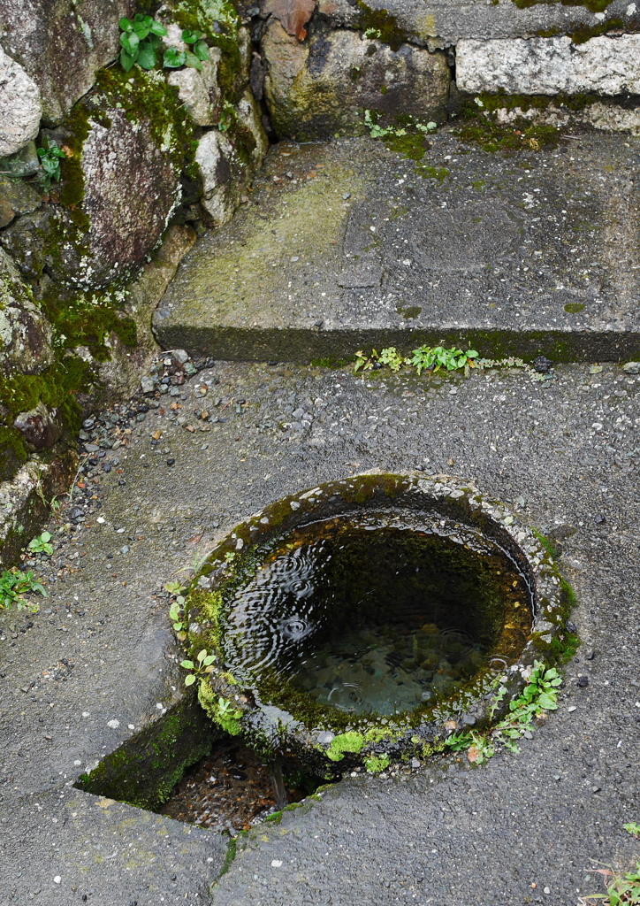 湧き水