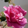 100均の造花