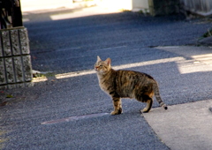 何かが匂う