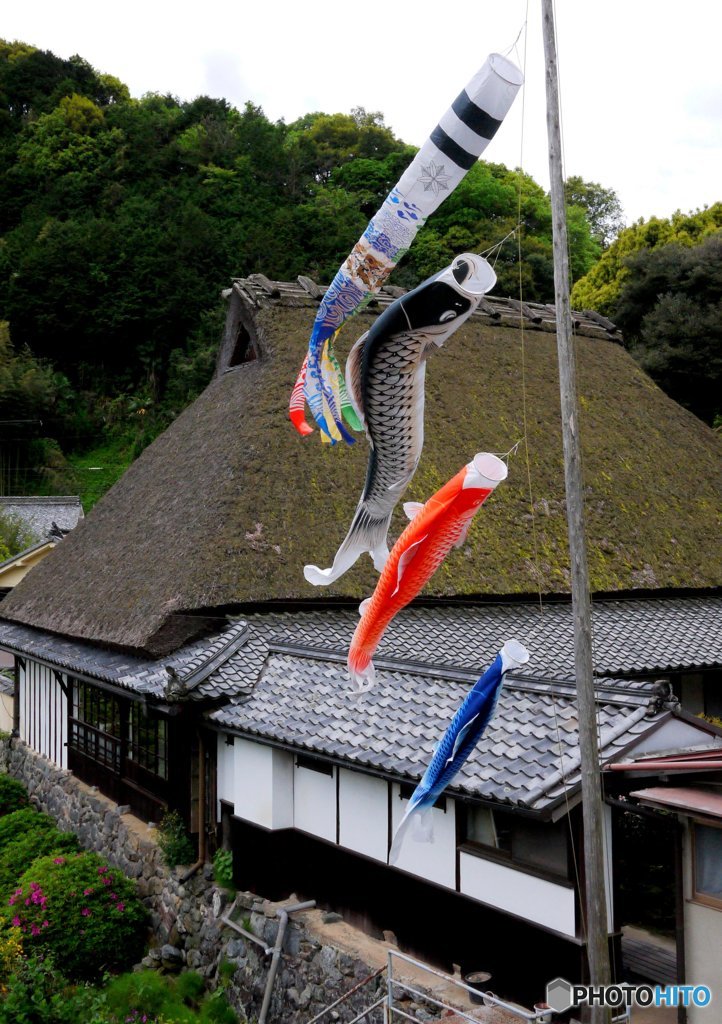 山風に舞う