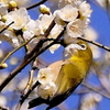 季節香る