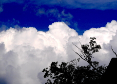 湧きあがる夏雲