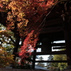 東漸寺　紅葉