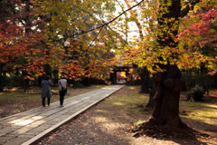 東漸寺　紅葉