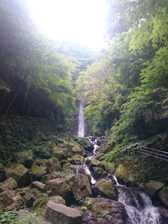 養老の滝