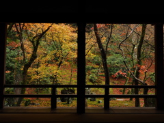 光明禅寺