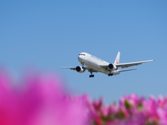 JAL　B767　