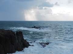 海