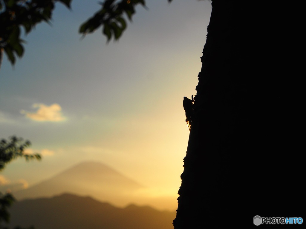 サヨナラの夕暮れ