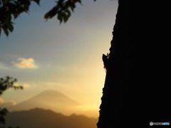 サヨナラの夕暮れ