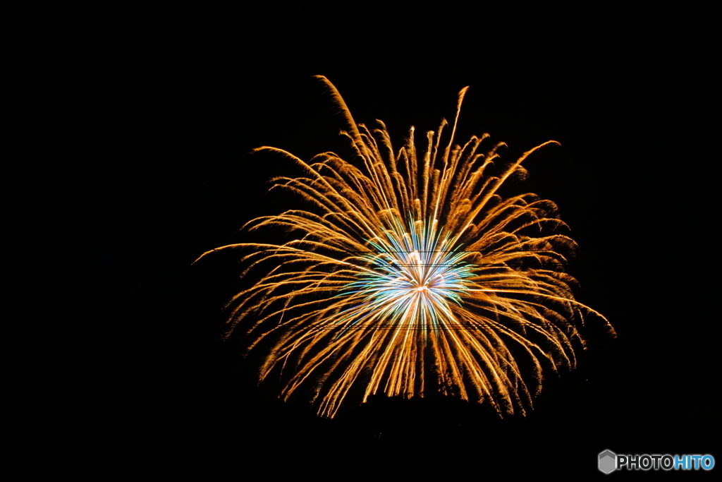 初めて花火を撮影したよ。