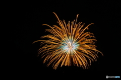 初めて花火を撮影したよ。