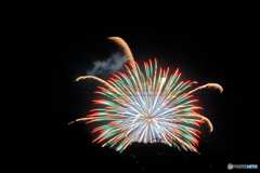 初めて花火を撮影したよ。