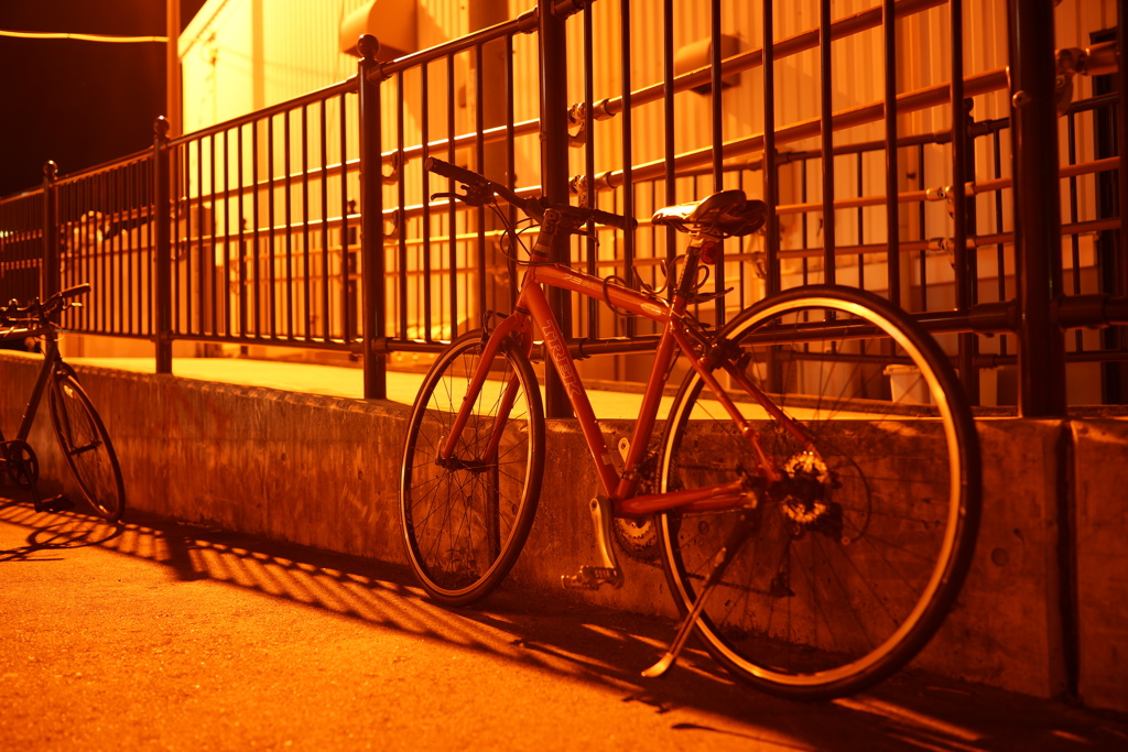 自転車＠宇品