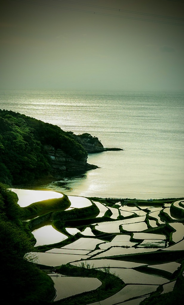 玄海町　浜野浦の棚田