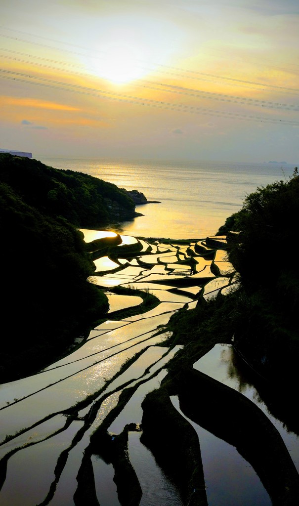 玄海町　浜野浦の棚田