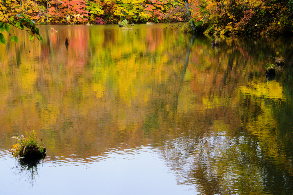 紅葉の映り込み　２