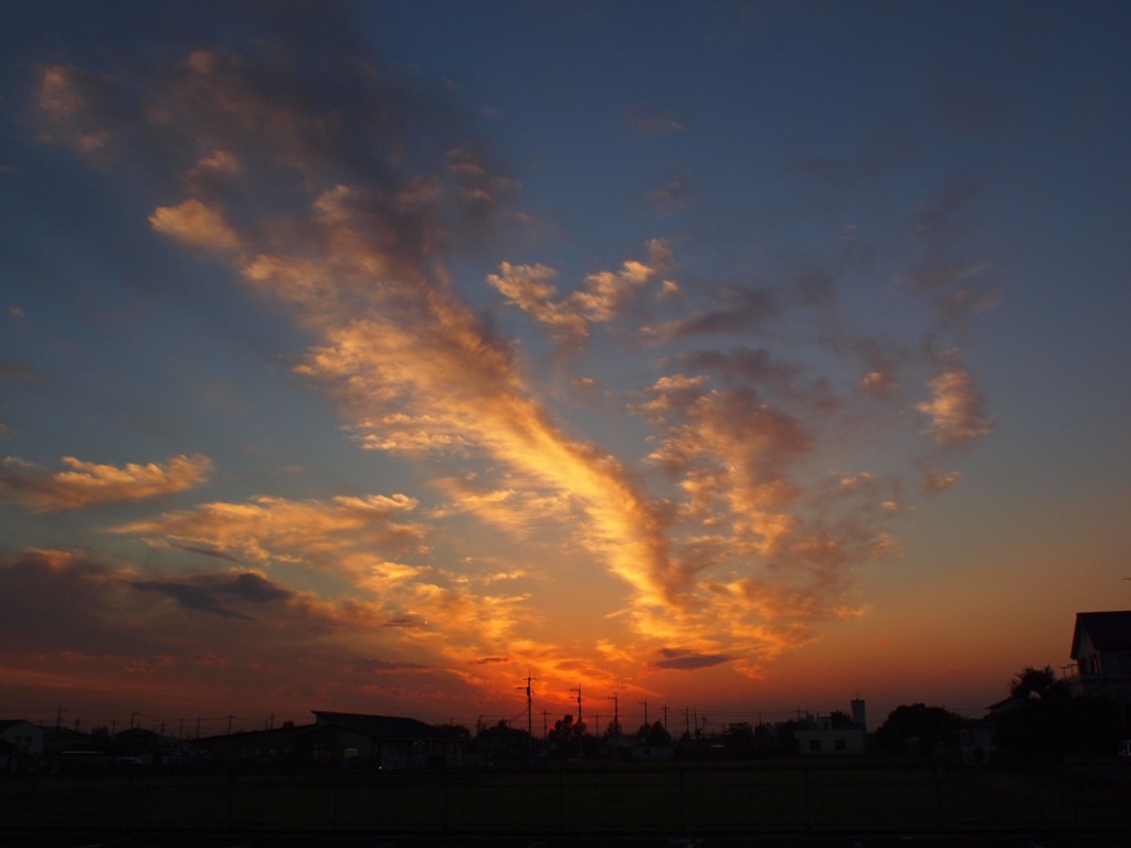夕景1117