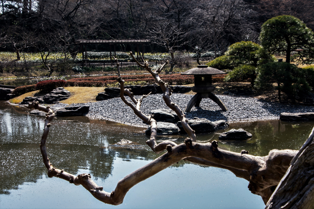 二の丸池
