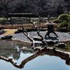 二の丸池