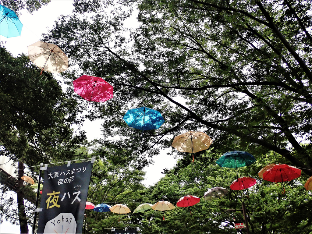 千葉公園蓮祭　傘のオブジェ