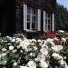 薔薇のお屋敷
