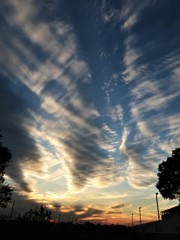 IMG_2673 (2)　2017/11/25夕景