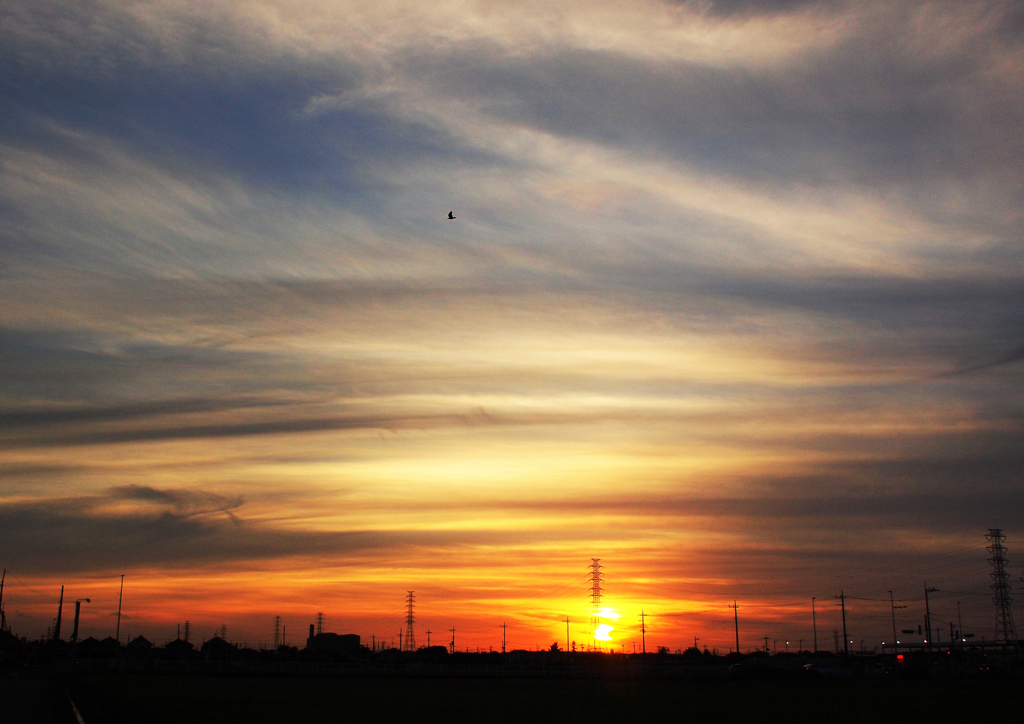 夕景　8/18　Ⅲ