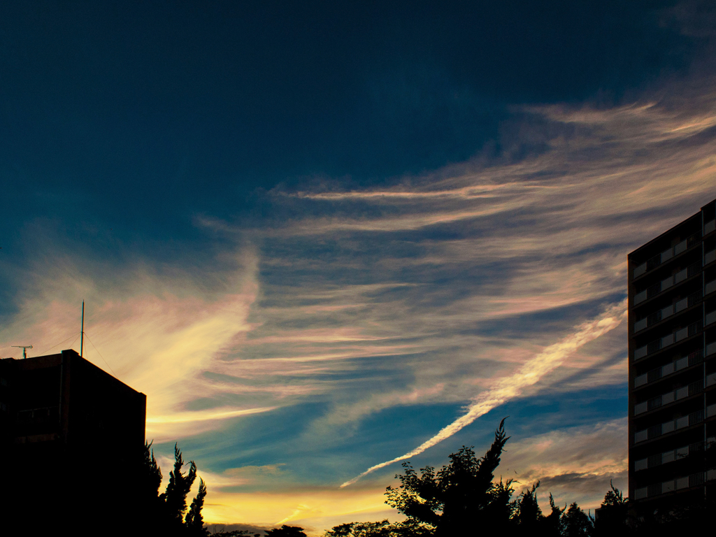 P9052734夕景0905