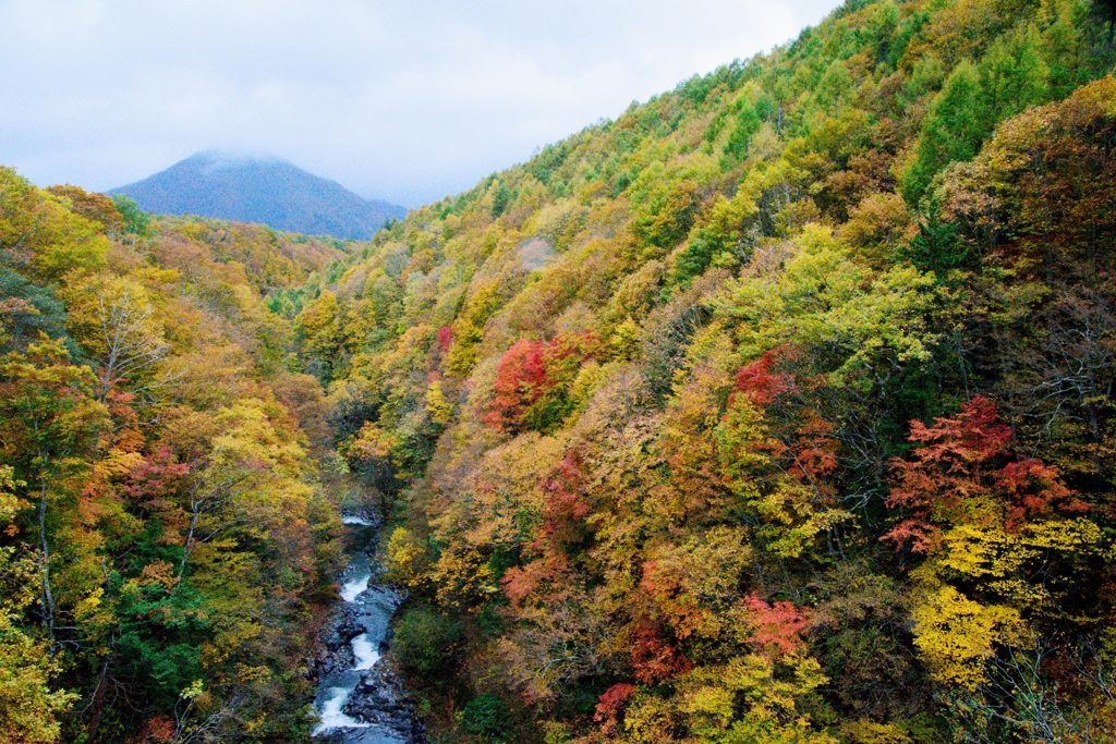 裏磐梯の紅葉　１