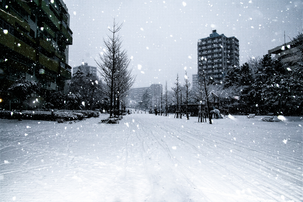 誰もいない大通りに雪が降る