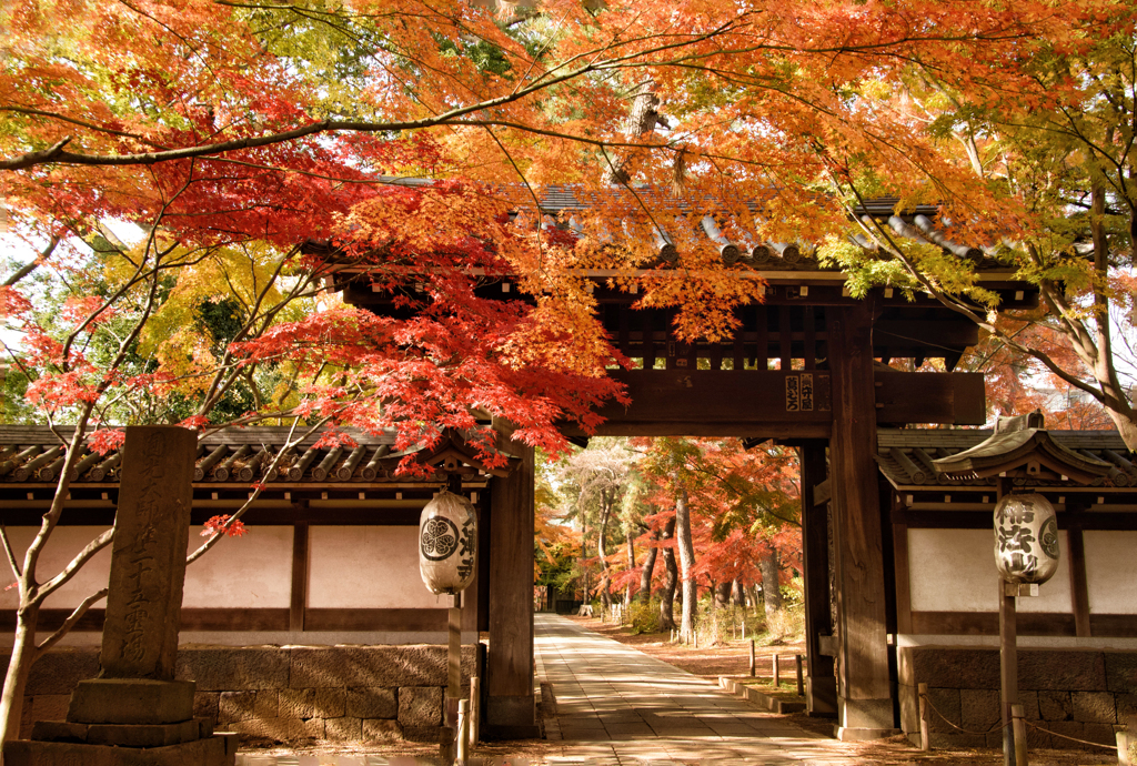 東漸寺（とうぜんじ）の紅葉　４