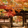 東漸寺（とうぜんじ）の紅葉　４