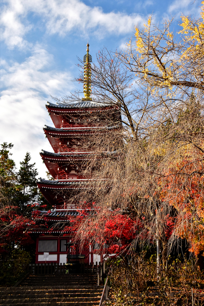 本土寺五重塔