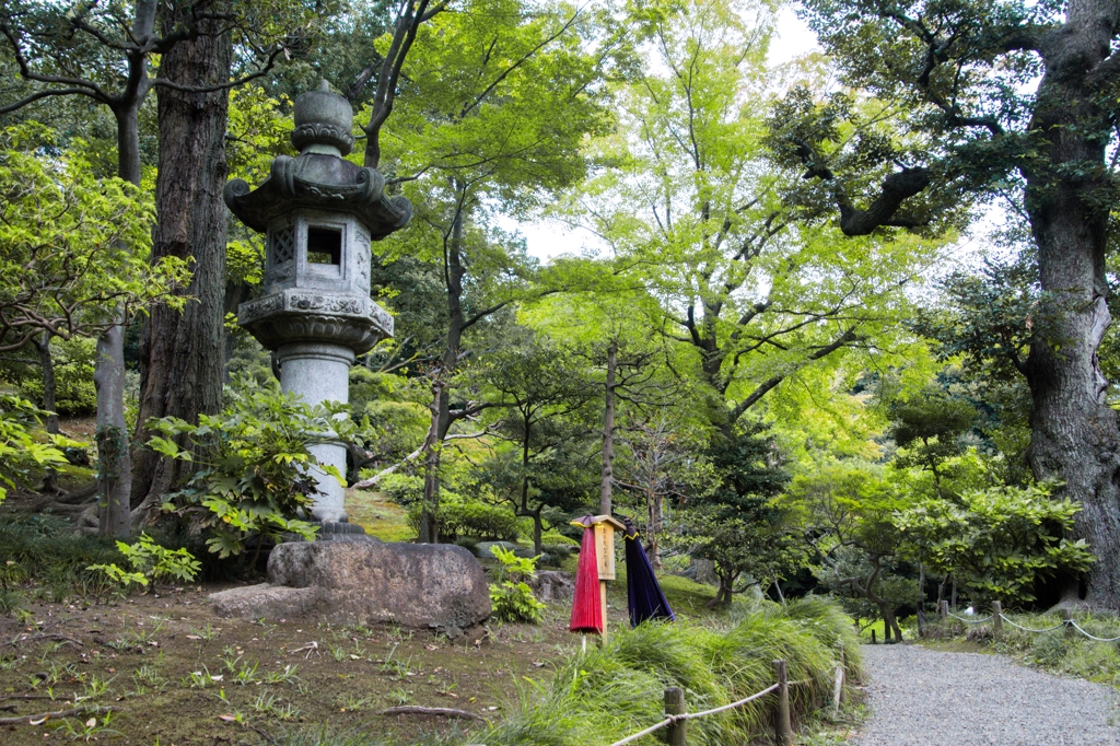 通り道