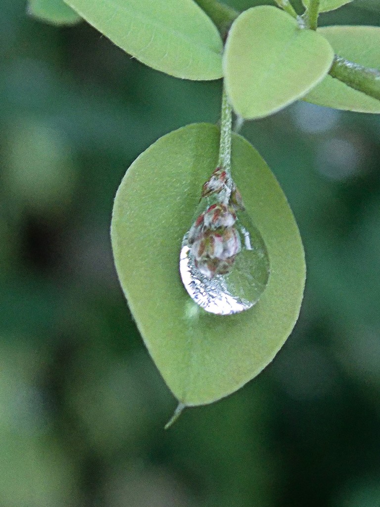 水滴のペンダント