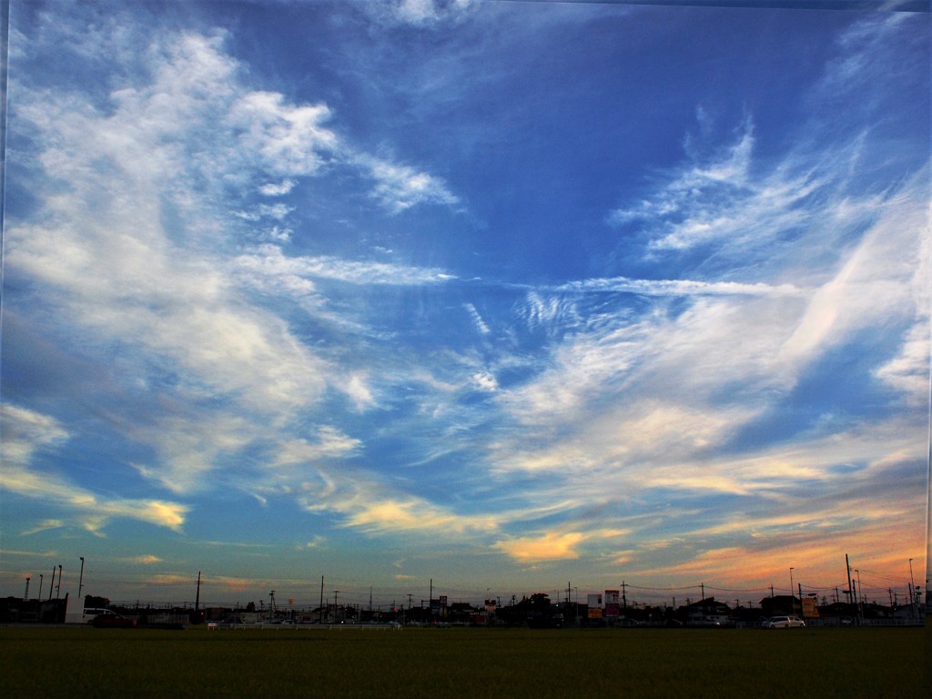 夕景　8/18　Ⅱ 