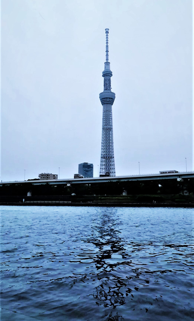 水面に映る東京スカイツリー　