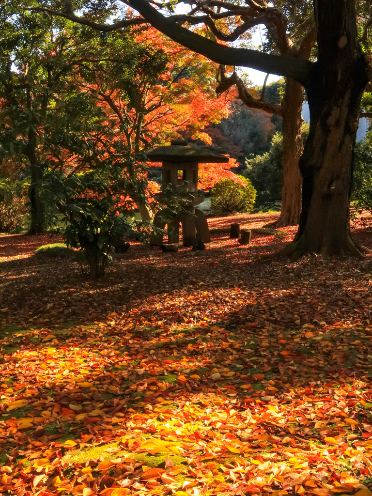 東京国立博物館庭園2