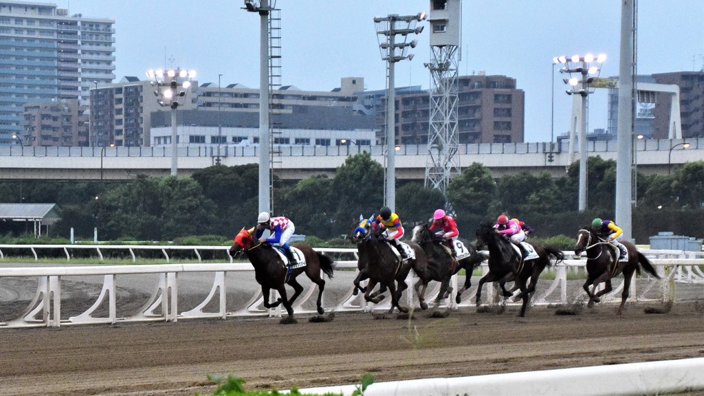 東京シティ競馬（大井競馬場） トゥインクルレース　１