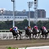 東京シティ競馬（大井競馬場） トゥインクルレース　１