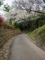 続く道
