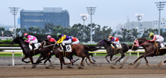 東京シティ競馬（大井競馬場） トゥインクルレース　2