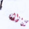 雪に埋もれる