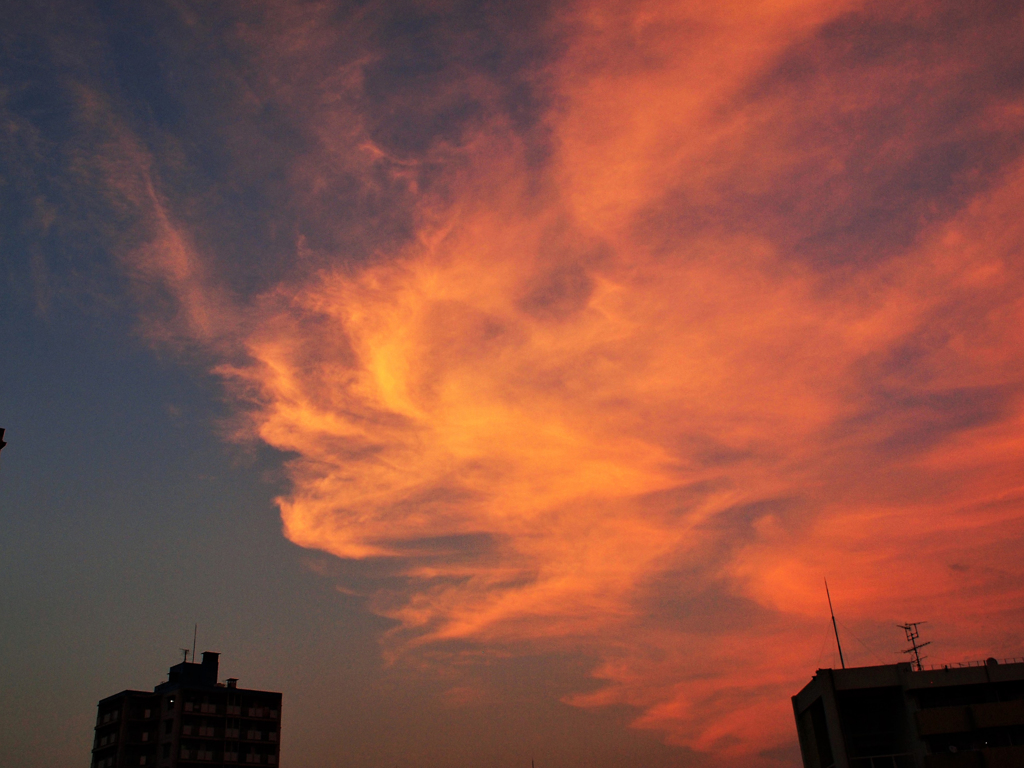 怪しげな夕景１