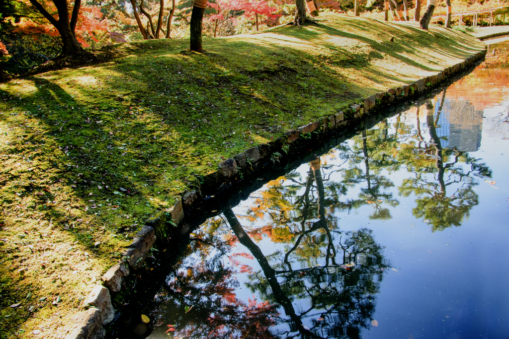 小石川後楽園の紅葉　２